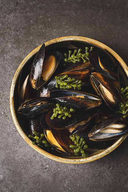 Chilean Black Mussels Whole